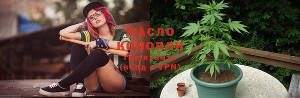 молекула духа Бородино