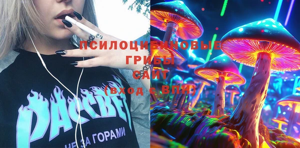 молекула духа Бородино