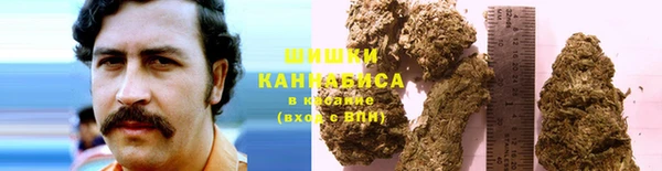 молекула духа Бородино