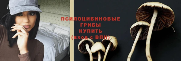 дживик Бугульма