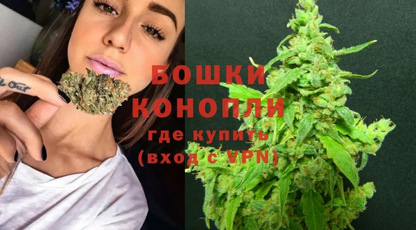 молекула духа Бородино