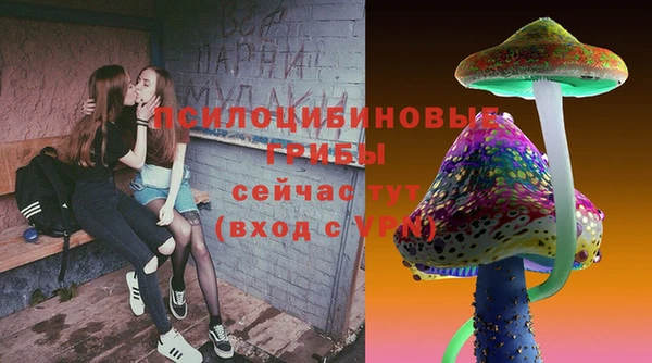 дживик Бугульма