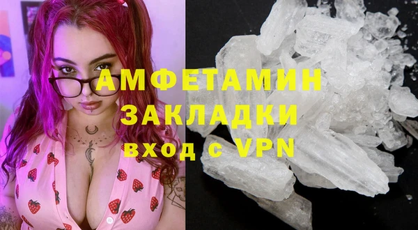 молекула духа Бородино