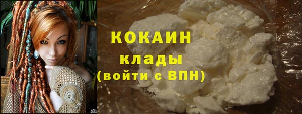 молекула духа Бородино