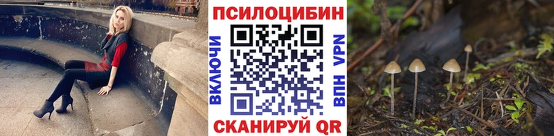 цена наркотик  Семёнов  mega сайт  Галлюциногенные грибы ЛСД 
